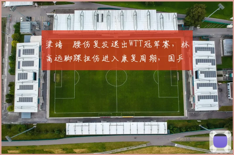 梁靖崑腰伤复发退出WTT冠军赛，林高远脚踝扭伤进入康复周期，国乒中生代伤病管理策略对比鲜明